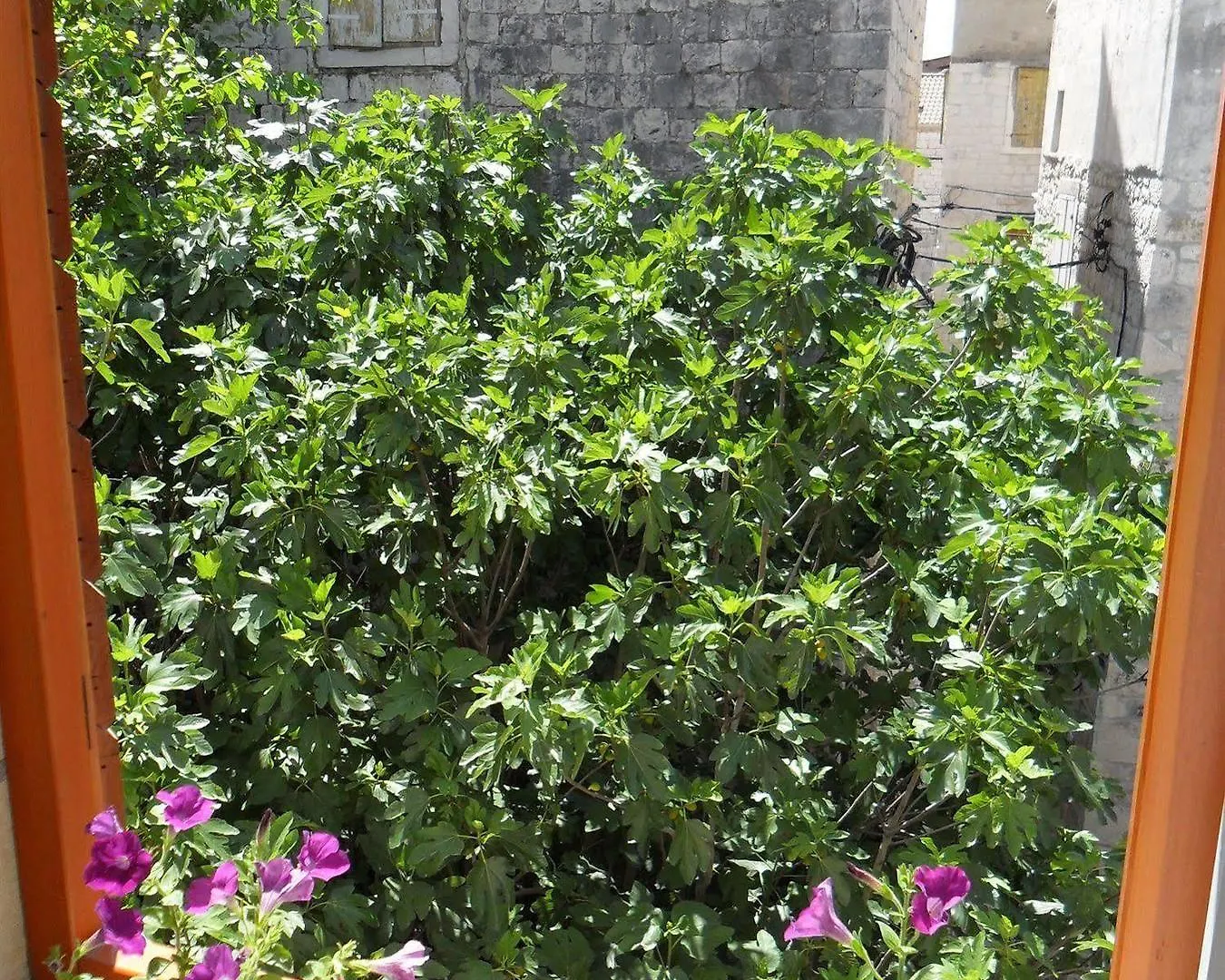 Guesthouse Ruzica Trogir